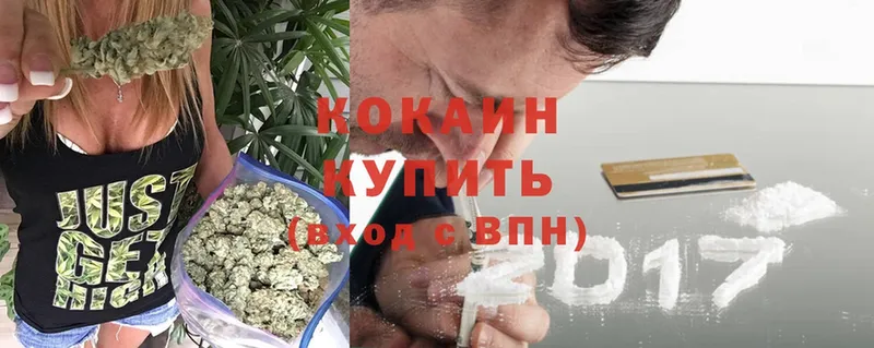 Cocaine FishScale  omg онион  Вязники 